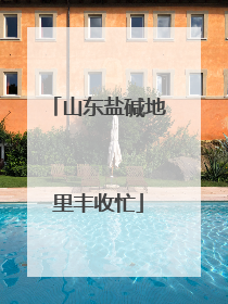 山东盐碱地里丰收忙