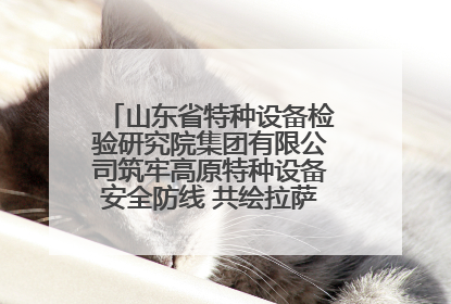 山东省特种设备检验研究院集团有限公司筑牢高原特种设备安全防线 共绘拉萨美好生活画卷