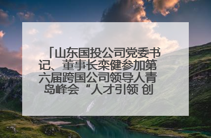 山东国投公司党委书记、董事长栾健参加第六届跨国公司领导人青岛峰会“人才引领 创新驱动”人力资源高质量发展对话会