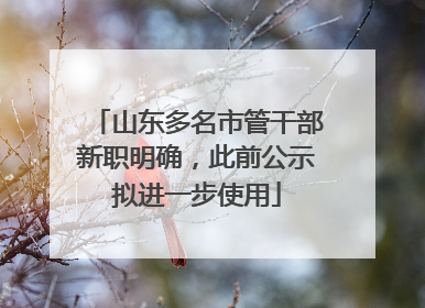 山东多名市管干部新职明确，此前公示拟进一步使用