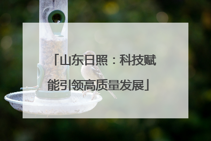 山东日照：科技赋能引领高质量发展