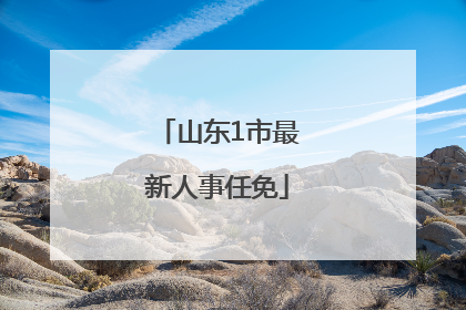 山东1市最新人事任免