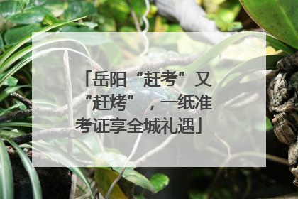 岳阳“赶考”又“赶烤”，一纸准考证享全城礼遇