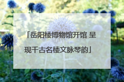 岳阳楼博物馆开馆 呈现千古名楼文脉琴韵