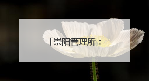崇阳管理所：果香漫高速 爱心“鲜”万里