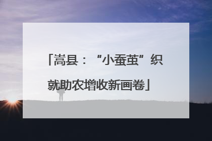 嵩县：“小蚕茧”织就助农增收新画卷