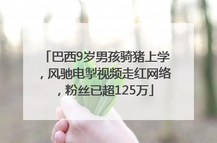 巴西9岁男孩骑猪上学，风驰电掣视频走红网络，粉丝已超125万