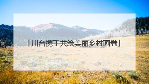 川台携手共绘美丽乡村画卷