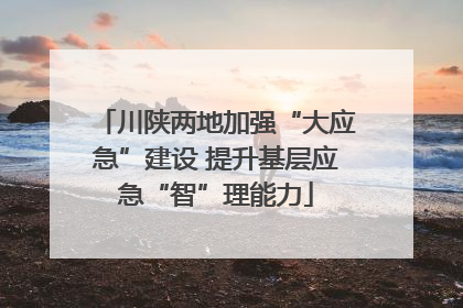 川陕两地加强“大应急”建设 提升基层应急“智”理能力