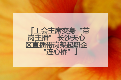 工会主席变身“带岗主播” 长沙天心区直播带岗架起职企“连心桥”