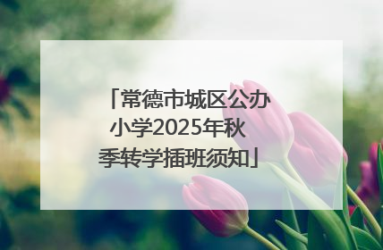 常德市城区公办小学2025年秋季转学插班须知