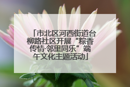 市北区河西街道台柳路社区开展“粽香传情·邻里同乐”端午文化主题活动