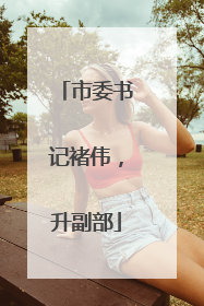 市委书记褚伟，升副部