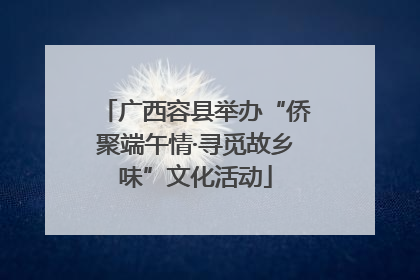 广西容县举办“侨聚端午情·寻觅故乡味”文化活动