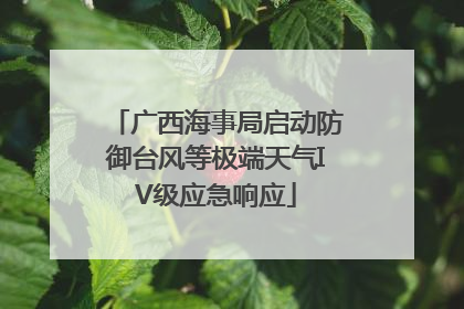广西海事局启动防御台风等极端天气IV级应急响应