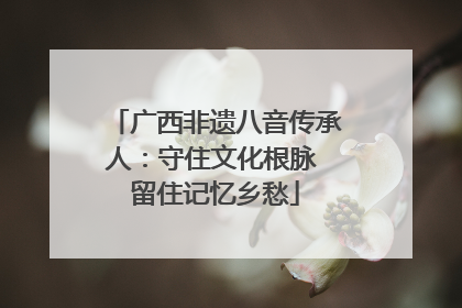广西非遗八音传承人：守住文化根脉 留住记忆乡愁