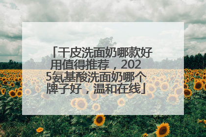 干皮洗面奶哪款好用值得推荐，2025氨基酸洗面奶哪个牌子好，温和在线
