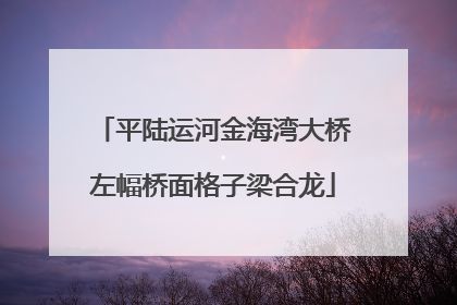 平陆运河金海湾大桥左幅桥面格子梁合龙