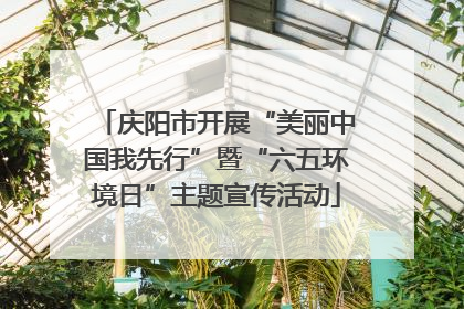 庆阳市开展“美丽中国我先行”暨“六五环境日”主题宣传活动