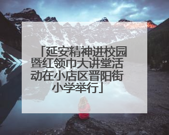延安精神进校园暨红领巾大讲堂活动在小店区晋阳街小学举行