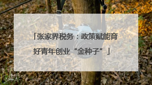 张家界税务：政策赋能育好青年创业“金种子”