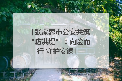 张家界市公安共筑“防洪堤”：向险而行 守护安澜