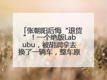 张朝阳后悔“退货”！一个绝版Labubu，被胡润拿去换了一辆车，整车原价值上百万元