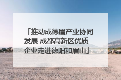 推动成德眉产业协同发展 成都高新区优质企业走进德阳和眉山