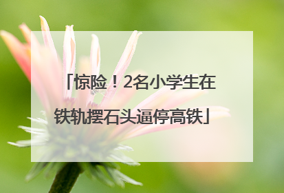 惊险！2名小学生在铁轨摆石头逼停高铁