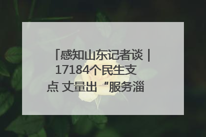 感知山东记者谈｜17184个民生支点 丈量出“服务淄博”的文明温度