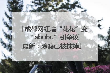 成都网红墙“花花”变“labubu”引争议 最新：涂鸦已被抹掉