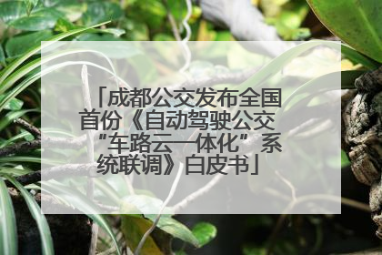 成都公交发布全国首份《自动驾驶公交“车路云一体化”系统联调》白皮书