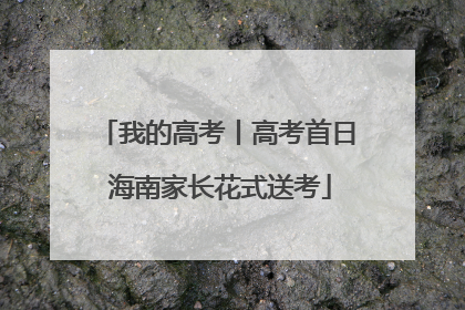 我的高考丨高考首日 海南家长花式送考