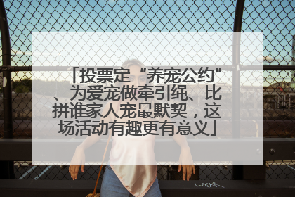 投票定“养宠公约”、为爱宠做牵引绳、比拼谁家人宠最默契，这场活动有趣更有意义