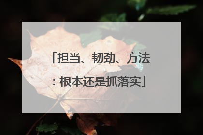 担当、韧劲、方法：根本还是抓落实