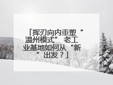 挥刃向内重塑“温州模式” 老工业基地如何从“新”出发？