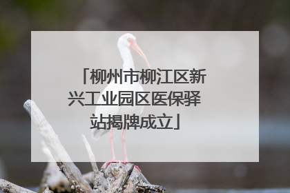 柳州市柳江区新兴工业园区医保驿站揭牌成立