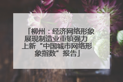柳州：经济网络形象展现制造业重镇强力 上新“中国城市网络形象指数”报告
