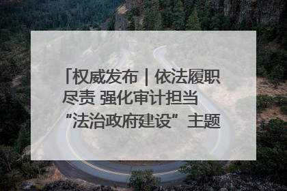 权威发布｜依法履职尽责 强化审计担当 “法治政府建设”主题系列新闻发布会市审计局专场召开
