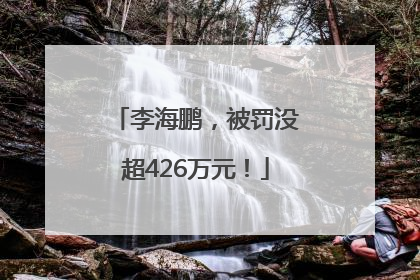 李海鹏，被罚没超426万元！