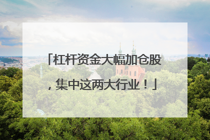杠杆资金大幅加仓股，集中这两大行业！