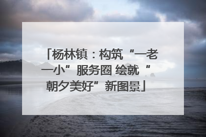 杨林镇：构筑“一老一小”服务圈 绘就“朝夕美好”新图景