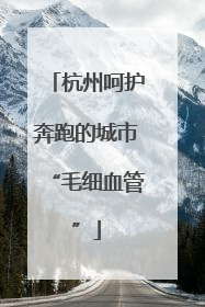 杭州呵护奔跑的城市“毛细血管”