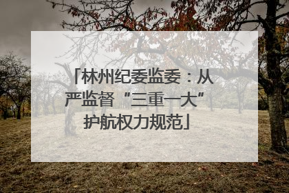 林州纪委监委：从严监督“三重一大” 护航权力规范