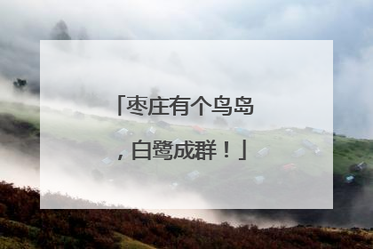 枣庄有个鸟岛，白鹭成群！