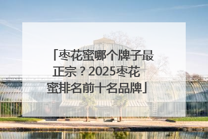 枣花蜜哪个牌子最正宗？2025枣花蜜排名前十名品牌