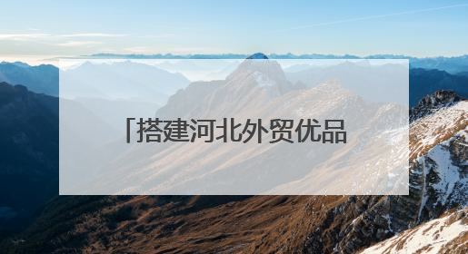搭建河北外贸优品“卖全球”新通道