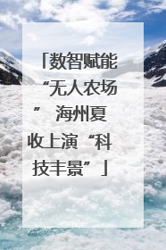 数智赋能“无人农场” 海州夏收上演“科技丰景”
