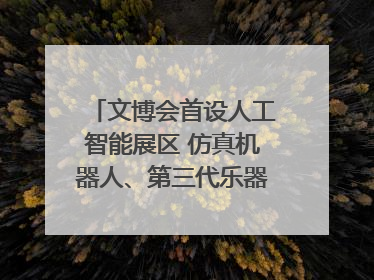 文博会首设人工智能展区 仿真机器人、第三代乐器成为人气王｜文博向“新”