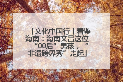 文化中国行丨看鉴海南：海南文昌这位“00后”男孩，“非遗跨界秀”走起